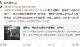 潘伟博最新爆料视频,事件真相与幕后黑幕