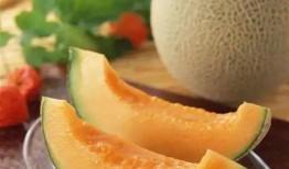 有哈密瓜免费吃吗,你也能享受到的福利